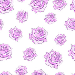 Vector pink roses seamless background. Flowers illustration front view. Pattern in romantic style for design of fabrics