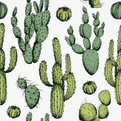 Seamless pattern with green cactus. Hand drawn vector on white background.