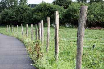Naklejka premium Sticks to set the limits of the meadows in Cantabria