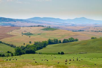 Fototapeta na wymiar Tuscany hills panorama summer view, Italian landscape
