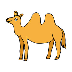Cartoon doodle happy camel isolated on white background.  Vector illustration.