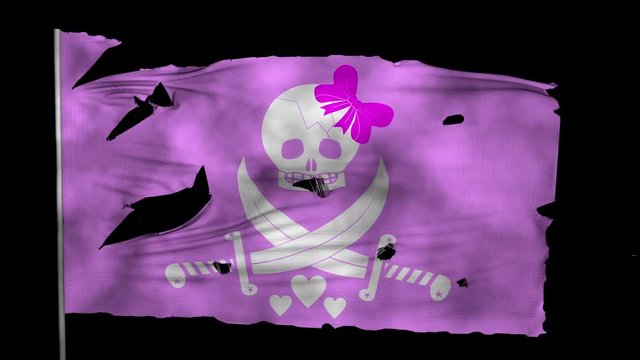 3D bursting jolly roger pink flag waving in the wind with alpha channel