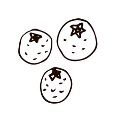 Cartoon doodle linear oranges isolated on white background. Vector illustration.   