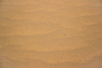 dunes desert yellow sand background wallpaper surface background foreshortening from above concept photography with empty copy space for your text or inscription