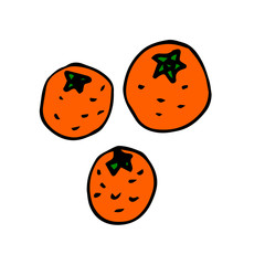 Cartoon doodle linear oranges isolated on white background. Vector illustration.   