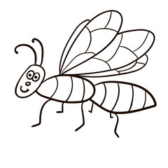Cartoon doodle linear midge, fly isolated on white background. Vector illustration. 