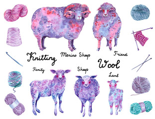 Family of sheep, blue, purple and pink colors, with a set of knitting elements, hand drawn watercolor illustration.
