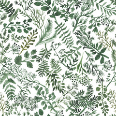 Watercolor herbal organic nature floral illustration seamless pattern