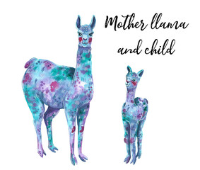 Mother llama and a child, blue, purple and pink colors, hand drawn watercolor illustration.