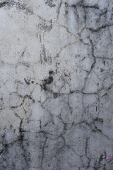 pared vieja