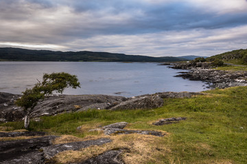 Fototapeta na wymiar typical landscapeof the Isle of Mull, Inner Hebride