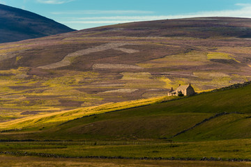 typical, rural landscape in the Scottish Highlands
