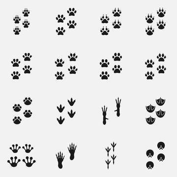 Set of paw print icons. Includes such footprints as dog, cat, bird and other.