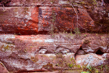 Section of sandstone wall in a river gorge