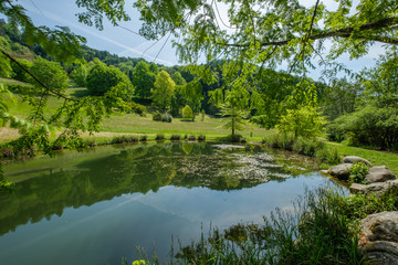 A beautiful pond in the arboretum of Aubonne, Switzerland during springtime.