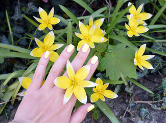 Yellow flowers with hand and yellow nails