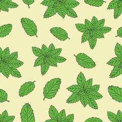 Tea collection. Vector hand drawn seamless pattern with mint on a yellow background -04