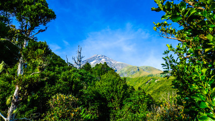 Obraz premium Climbing Mount Taranaki near New-Plymouth, New-Zealand