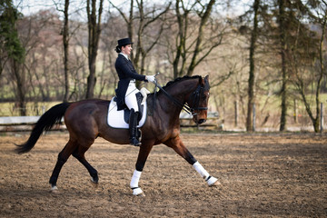 Dressage rider dressed in a tuxedo with cylinder, photographed on the horse in the trot...
