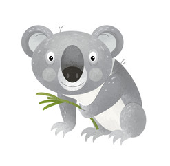 Fototapeta premium cartoon scene with happy and funny koala on white background - illustration for children