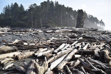 Olympic National Park, Washington state. U.S.A. October 17, 2017. Ruby Beach.