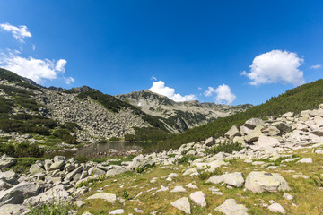 Fototapeta na wymiar Summer landscape with small Lake, Pirin Mountain, Bulgaria