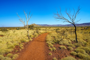hiking on mount bruce in karijini national park, western australia 1