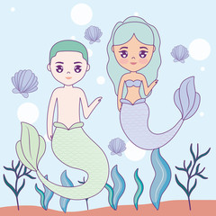 couple mermaid in the sea