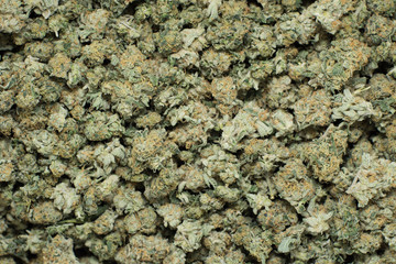 Marijuana Buds Close Up