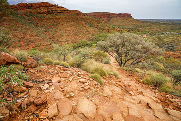 hiking in kings canyon in watarrka national park, northern territory, australia 7
