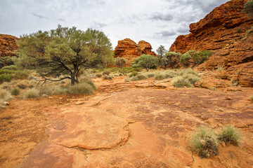 hiking in kings canyon in watarrka national park, northern territory, australia 25
