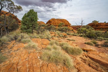 hiking in kings canyon in watarrka national park, northern territory, australia 40
