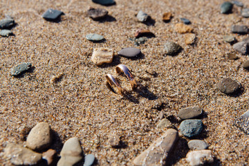 Two wedding rings in the sand on the beach