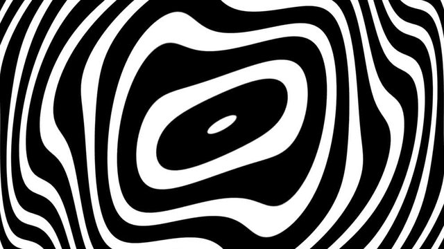 Concentric Warp Curves BW Psychedelic Abstract Motion Background Loop 2