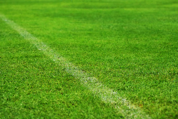 Grass field, green football field