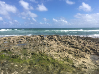ocean and rocks in Florida beach