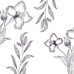 pattern plants and herbs isolated icon