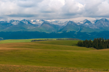 Fototapeta premium landscape in the mountains