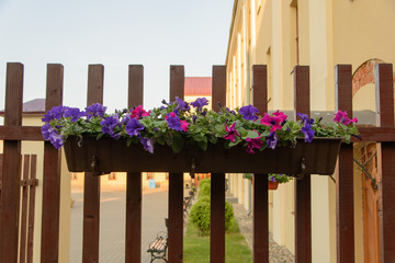 a long pot of flowers hanging on a wooden fence as a summer decoration in the city