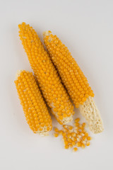 corn on the cob, popcorn at home, a few grains are separated and lie side by side on the white background