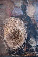 Bird Nest on leaf and earth grunge background