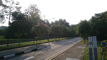 Beauty Of Bukit Timah Nature Reserve Singapore