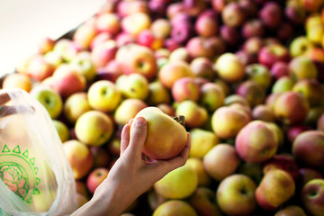 Close-up of apple in woman's hand 