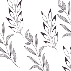 pattern plants and herbs isolated icon