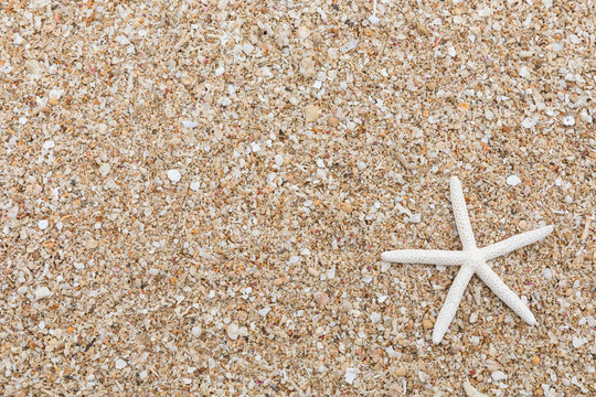 サンゴの砂　背景素材