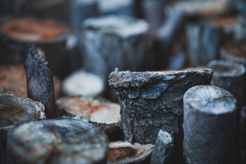 Pile of wooden log, Black Forest, Canada