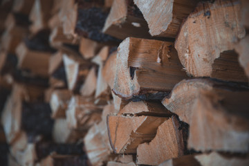Pile of wooden log, Black Forest, Canada