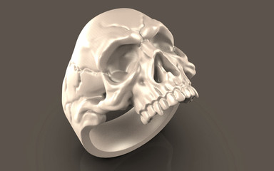 human skull isolated on white background