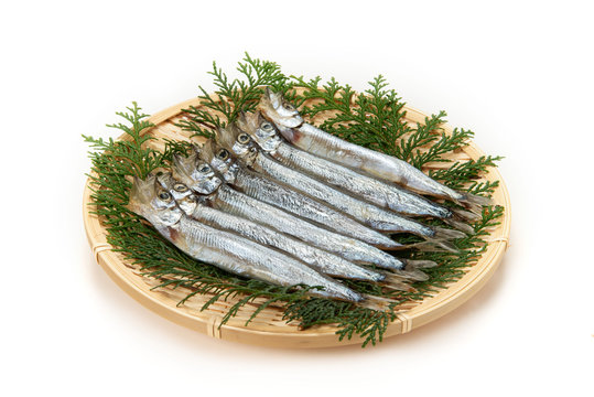 生カラフトシシャモ