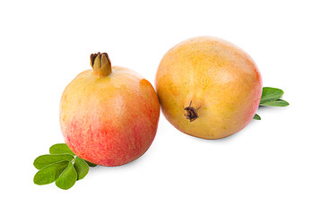 Pomegranate isolated on white background